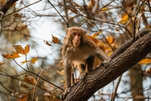 why school education is important nitkaedu