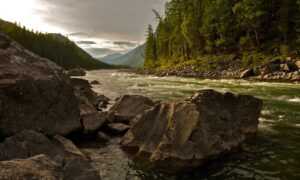 easy guide convwbfamily