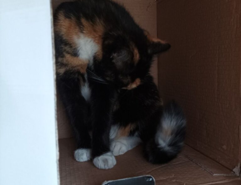 fpmomhacks parenting hacks from famousparenting