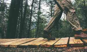 helpful guide convwbfamily