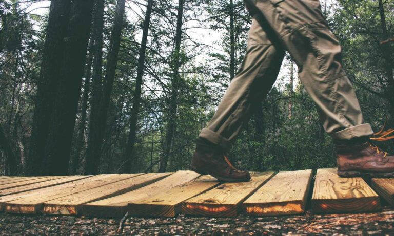 helpful guide convwbfamily