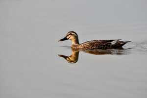 relations tips fpmomhacks