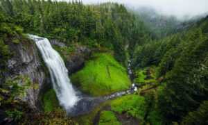 relationship advice fpmomhacks