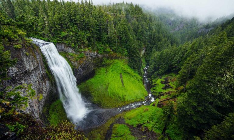 relationship advice fpmomhacks