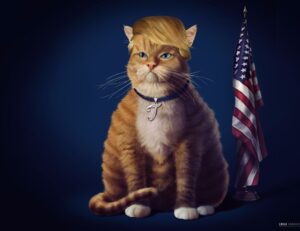 software gdtj45 builder does not work