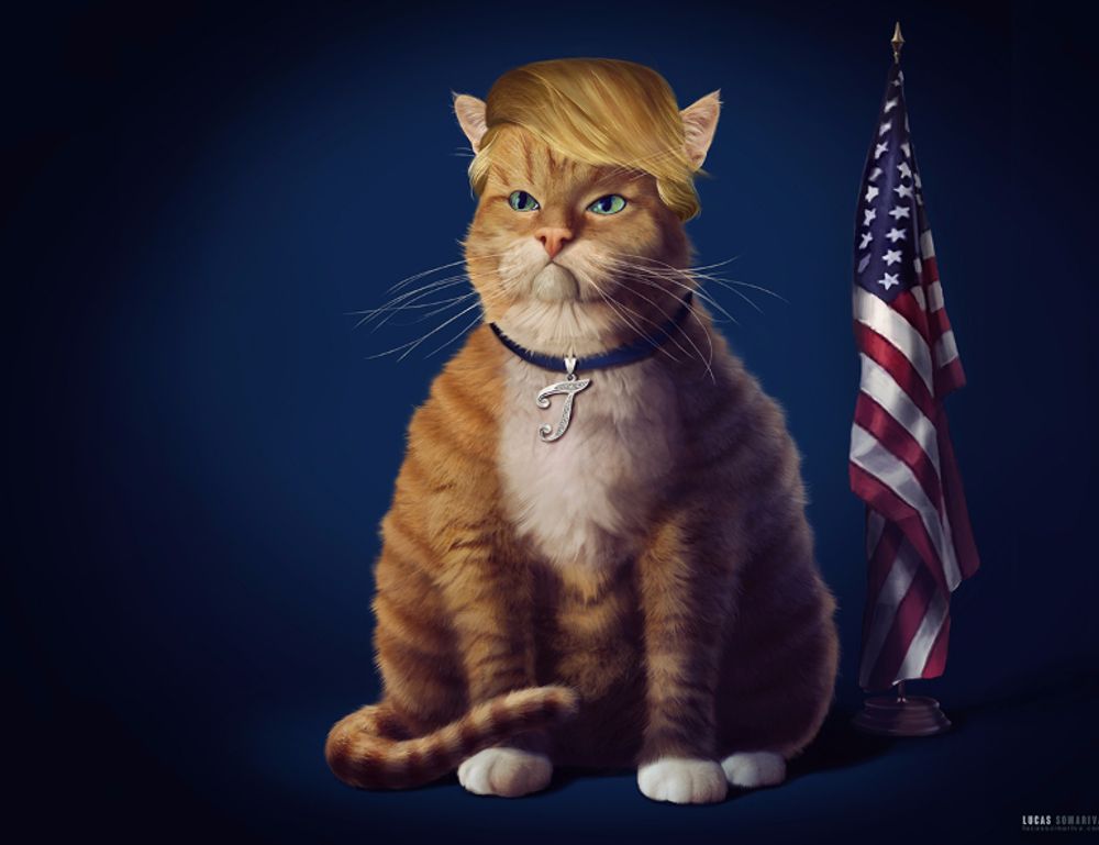 software gdtj45 builder does not work