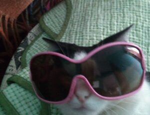 teckaya construction equipment ltd management