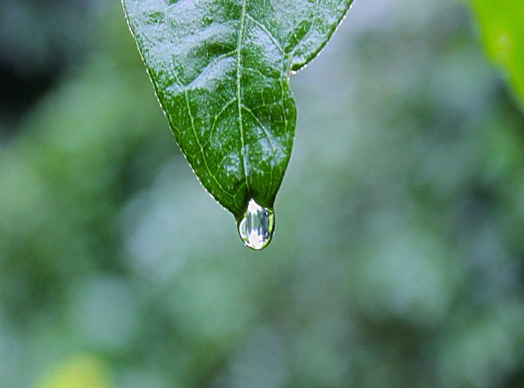Unlocking Power: Using the Crystal on the Ancient Sceptre
