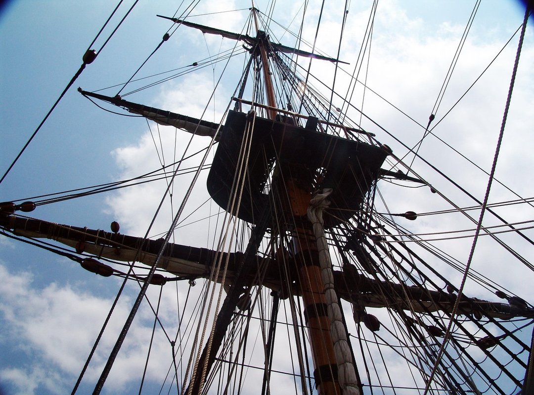 Recent Projects and Future Endeavors