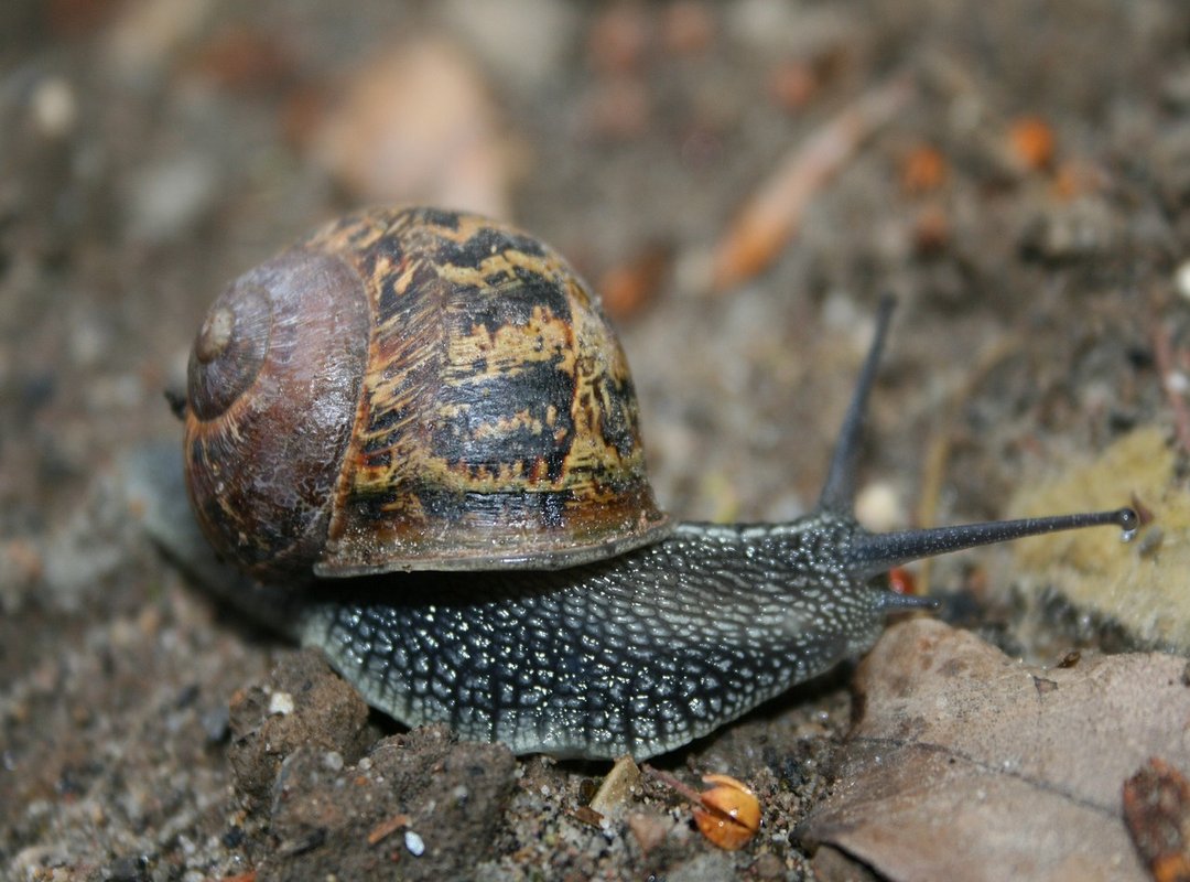 How to Download and Get Started in 3 Simple Steps