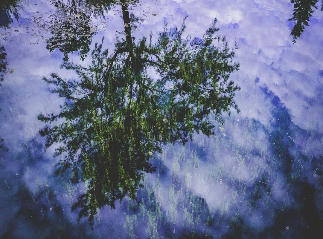 Context: Boycott Movements and Public Perception