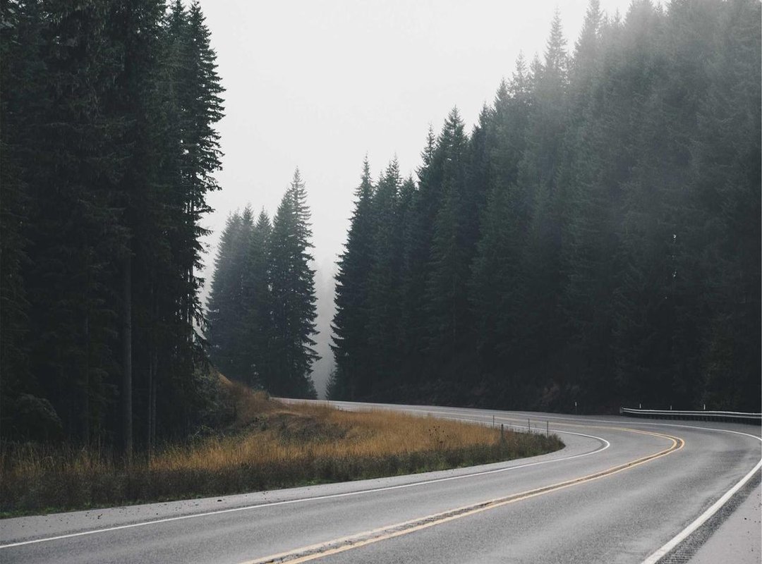 Beyond the Byline: Journalists as Authors and Public Intellectuals