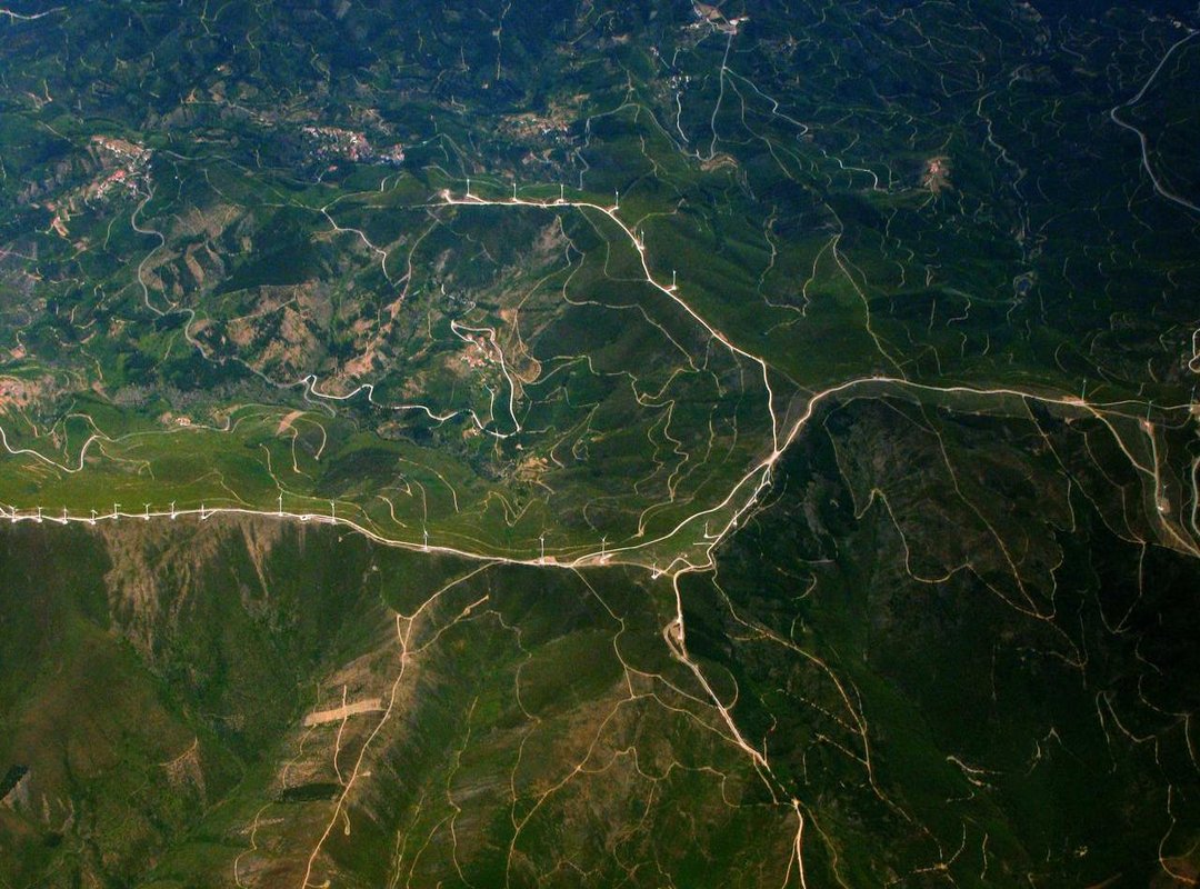 Cartoon & Simplified Versions