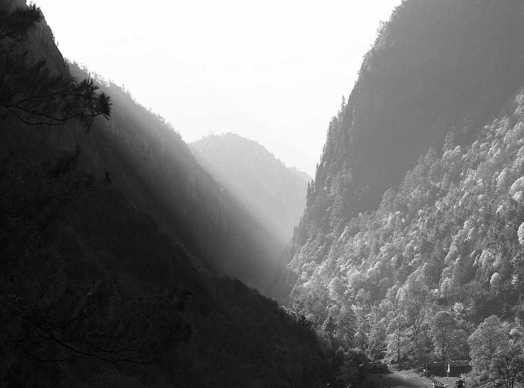 Editing Secrets: Top Apps and Filters for the Final Touch