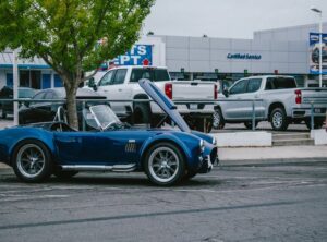 mr iconic shelby