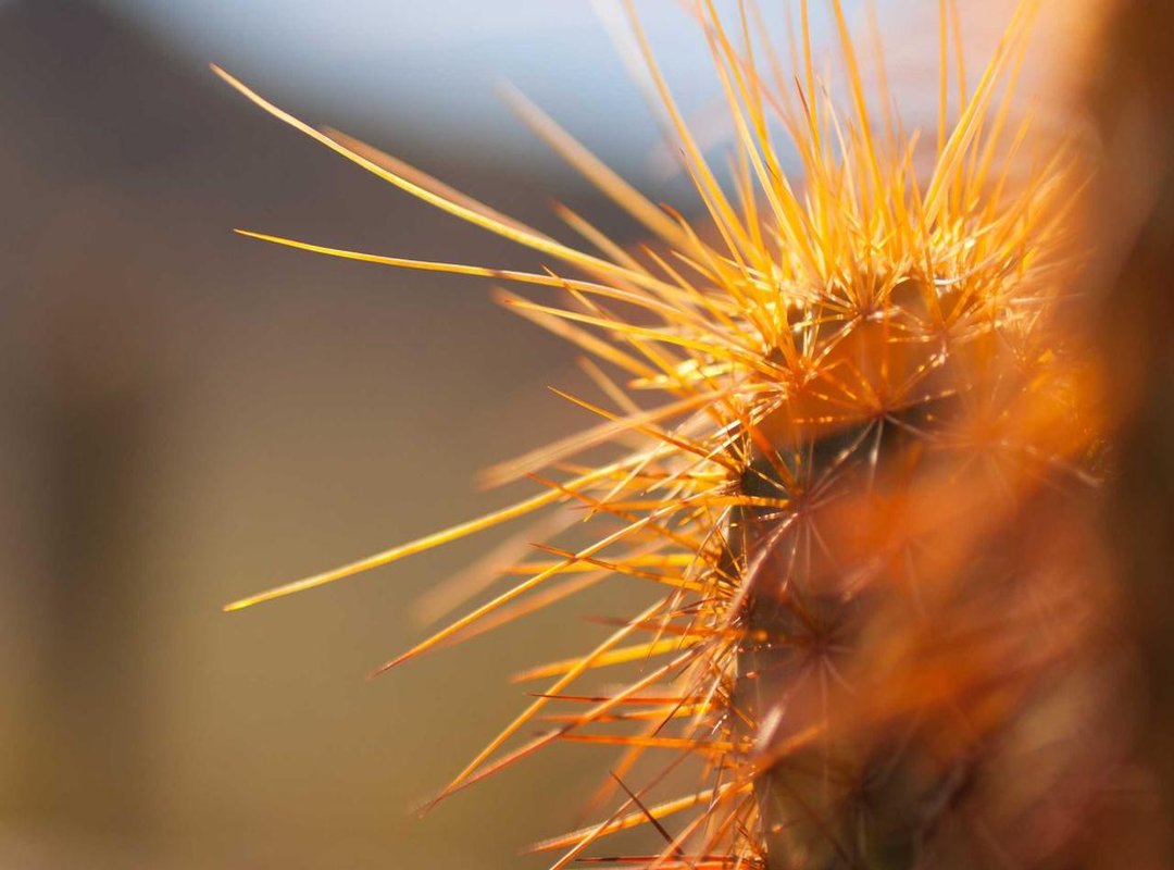 Important Considerations: Is OgoMovies Safe and Legal?