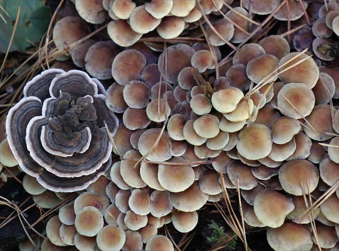 A Curated Collection of the Funniest Happy Friday Memes